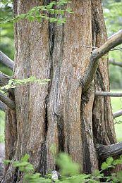 无畏契约加速器哪个好？无畏契约免费加速器推荐